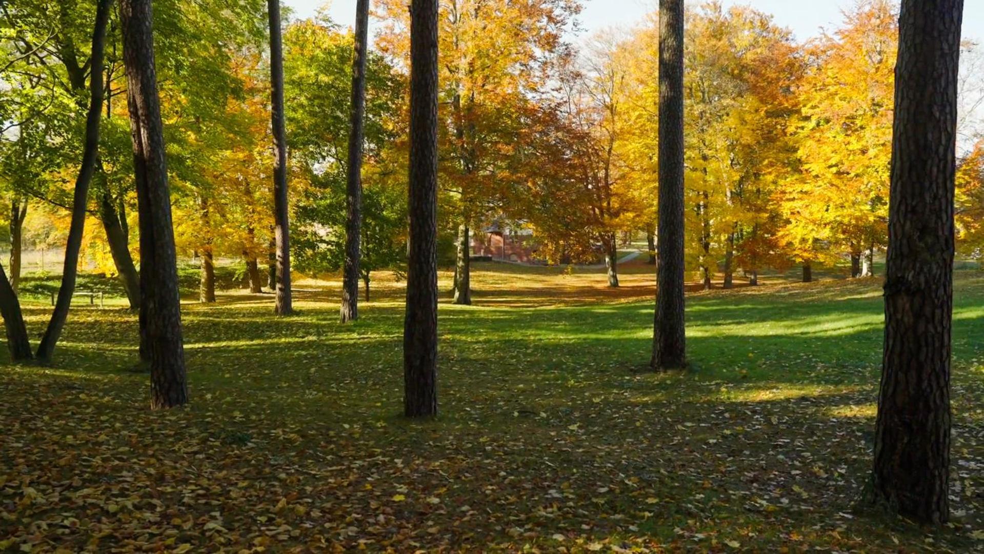 Parkresidenz Lychen, Ferienwohnung 4 Εξωτερικό φωτογραφία